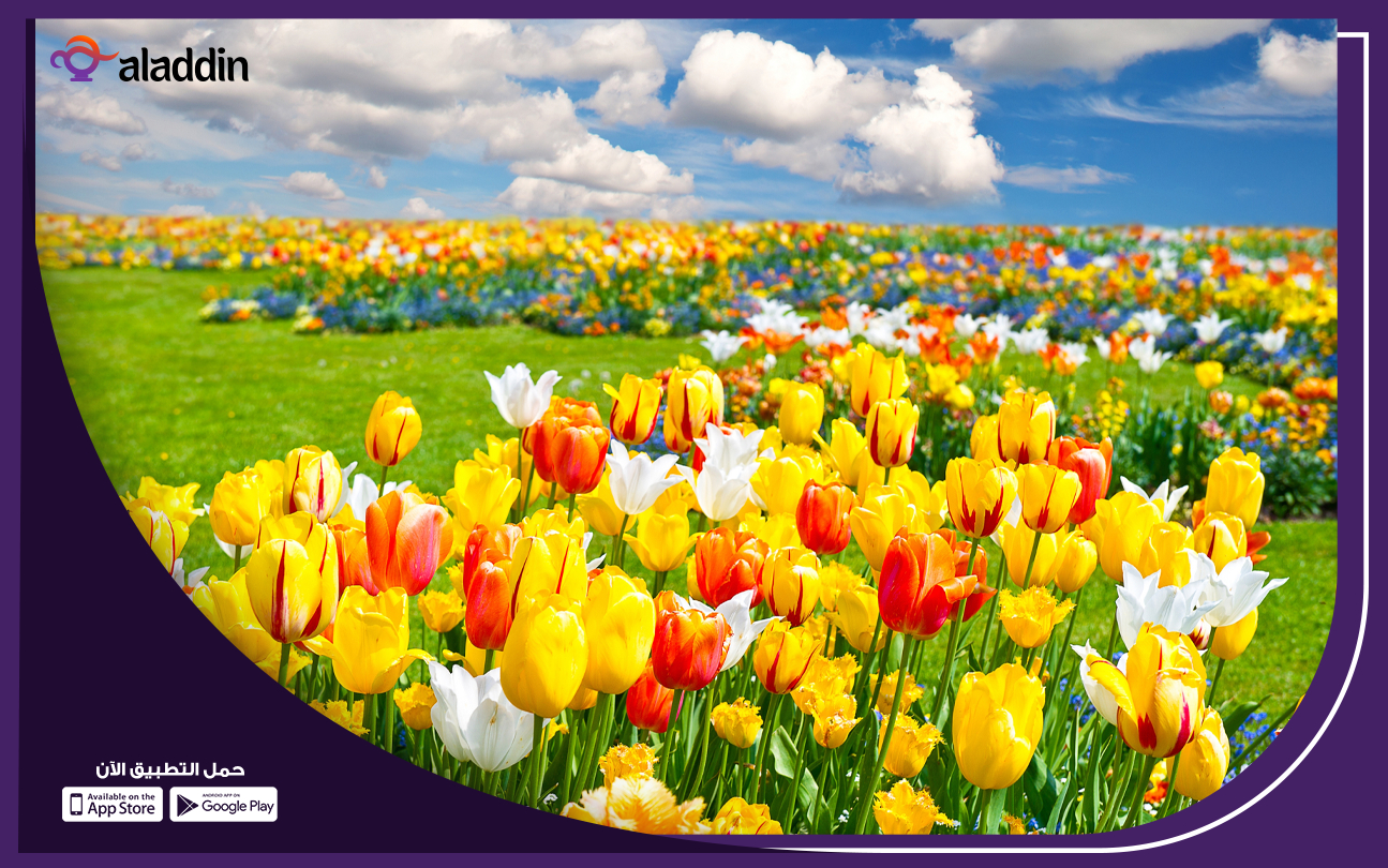 مشروع-محل-بيع-الأزهار