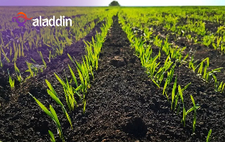 حاصلات زراعيه