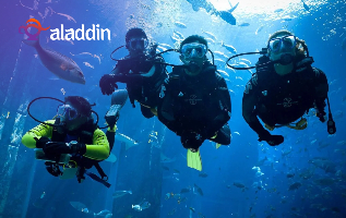 مركز غطس