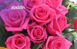 زهور طبيعيه ونباتات